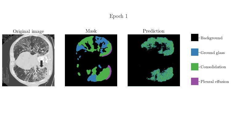 Network outputs during training